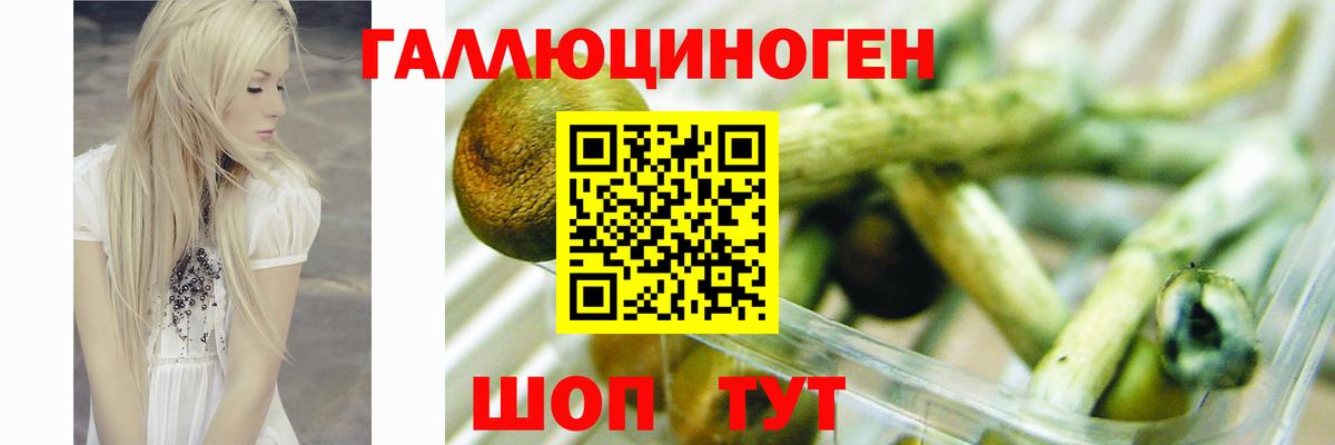 Псилоцибиновые грибы прущие грибы Нерюнгри